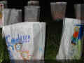 Luminarias