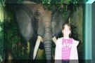 My special friend Sara like elephants.
