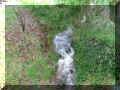 This is the creek that runs on the property, in front of the house.  You have to drive over this creek to get to the house.